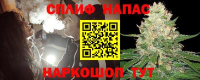 шишки Жуковский